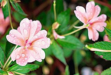 《新无主之地传说》角色预告片＆18分钟实机视频